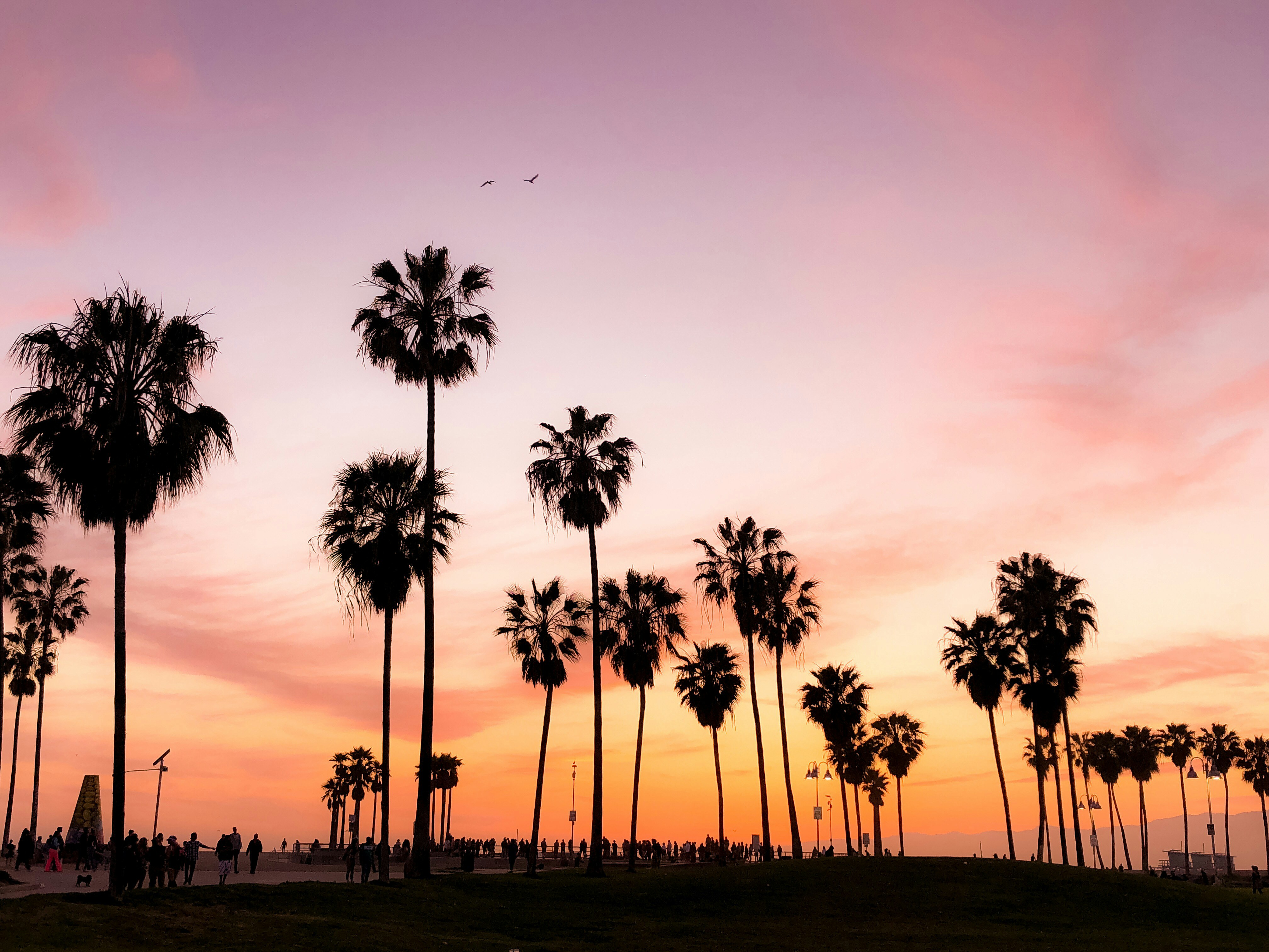 California | Polaris Adventures